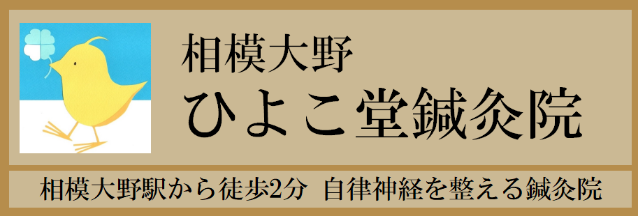 相模大野ひよこ堂鍼灸院