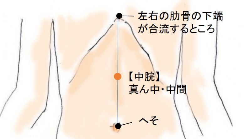 食欲不振・胃もたれに中脘