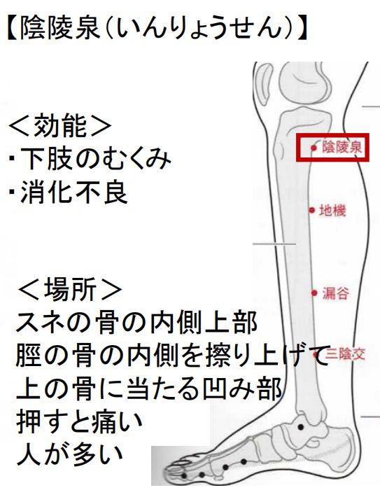 陰陵泉