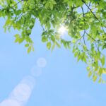【五月病対策】月刊ひよこ堂２０２５年５月号