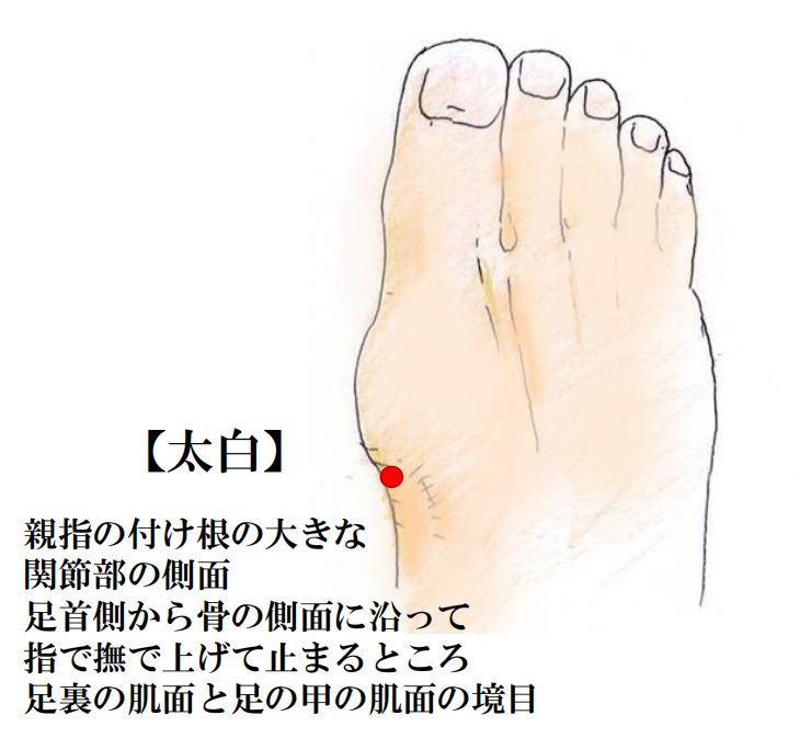□体の重だるさを改善するツボ【太白】 | 相模大野ひよこ堂鍼灸院