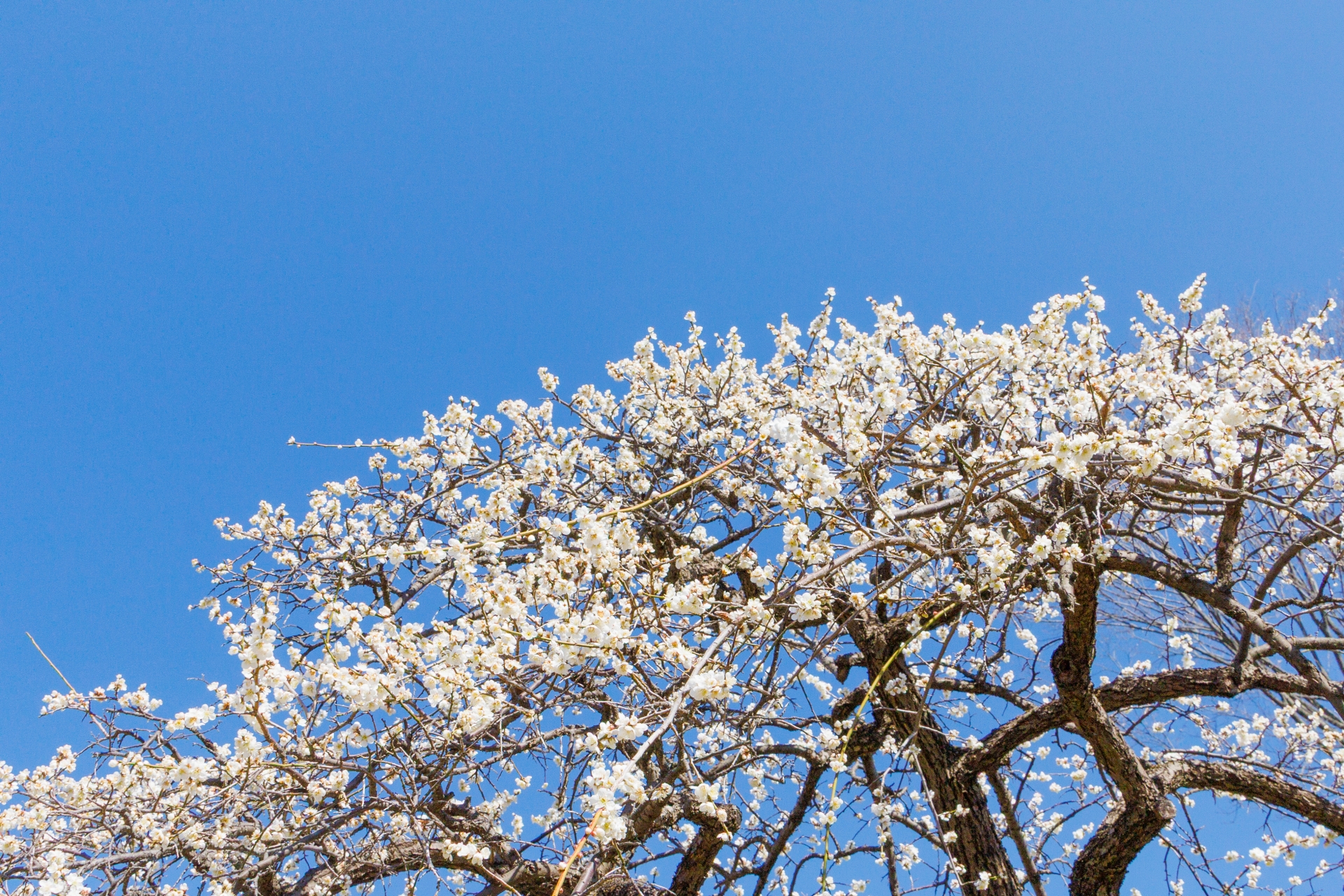 ＜睡眠について＞月刊ひよこ堂２０２６年１月号