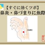 鼻炎・鼻づまりに魚際