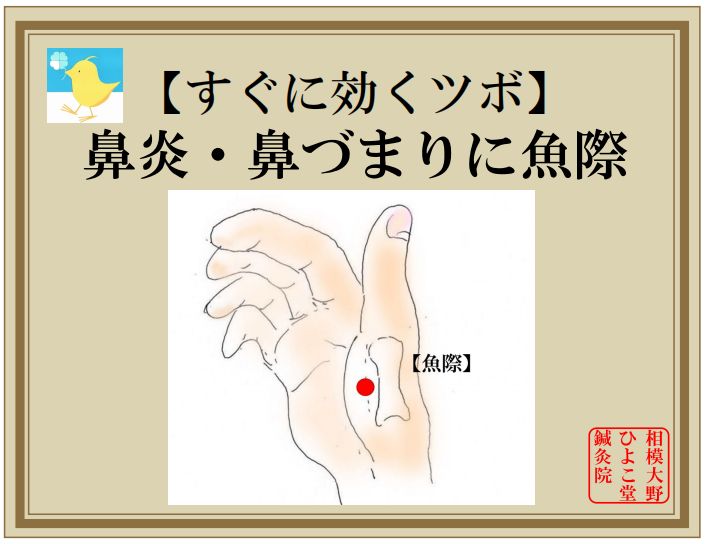 鼻炎・鼻づまりに魚際