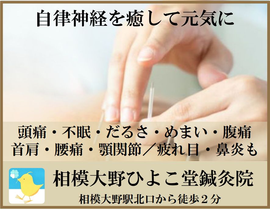自律神経治療・相模大野ひよこ堂鍼灸院